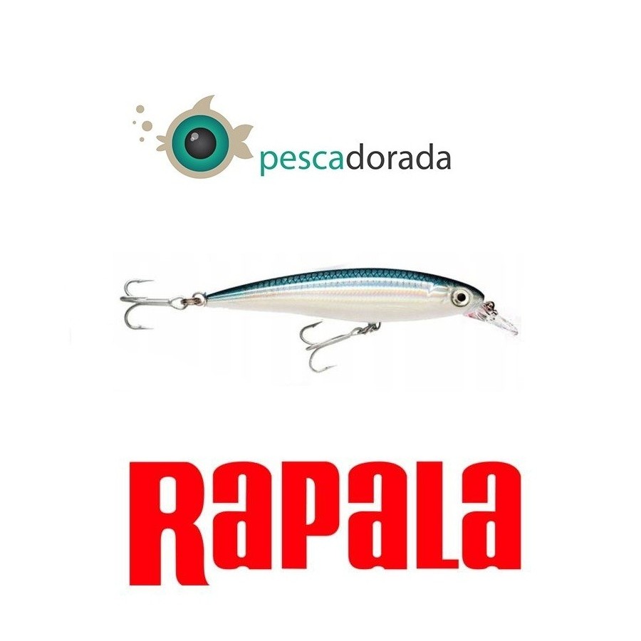 Rapala Saltwater X-Rap Lure  10cm 13gr  Baitfish