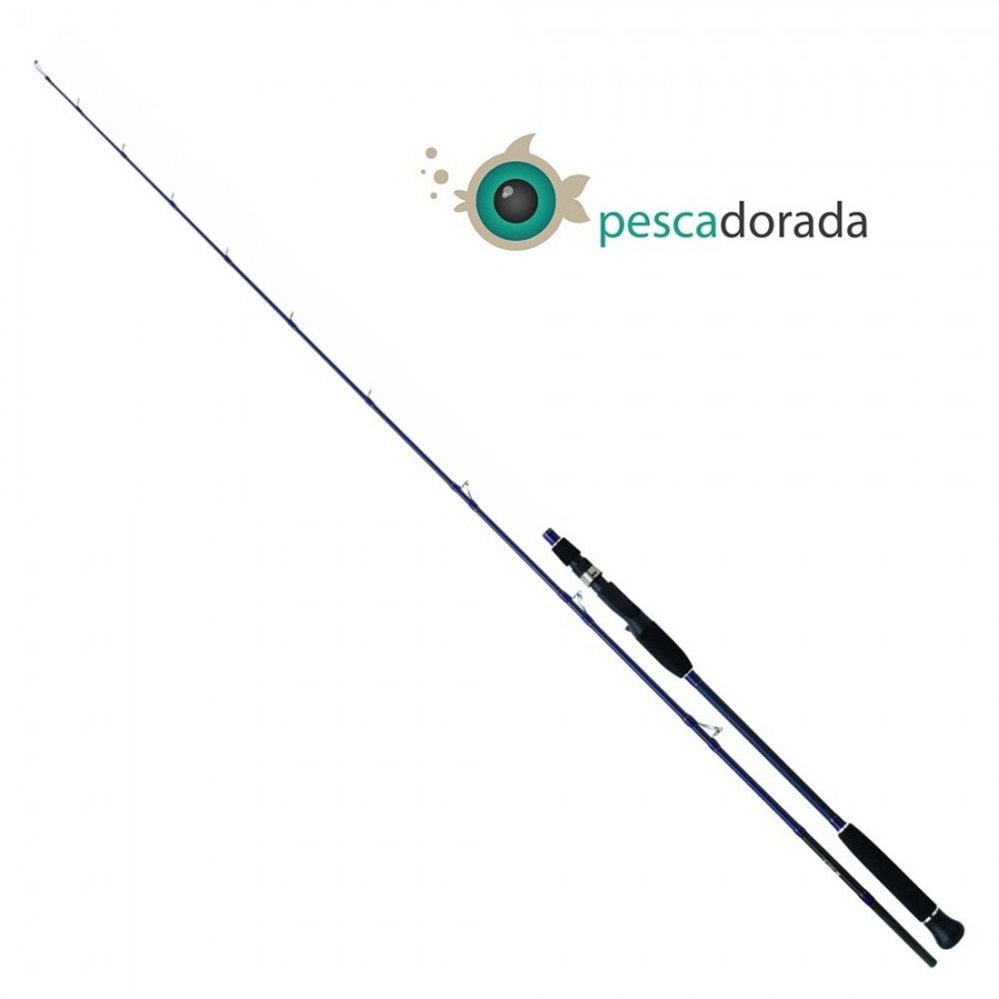 Daiwa EXCELER OCEANO con gatillo 1,93m 2 Tramos max 180 g