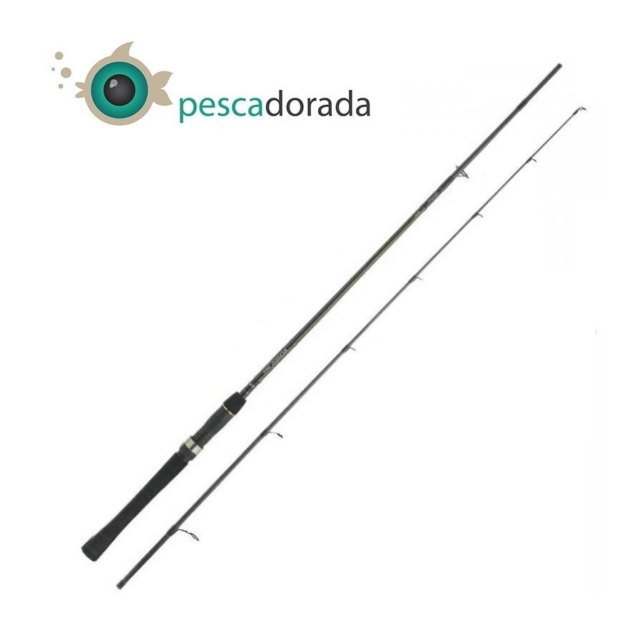 Daiwa Moulinet Combo De Pêche Revros Lt Fw Spin Pmc