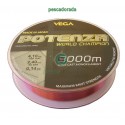 VEGA Potenza WORLD CHAMPION 3000 metros