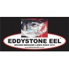 Eddystone Eel